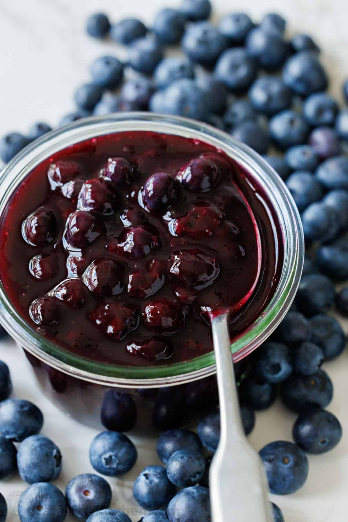 Elevate Your Meals: The Versatile 10-Minute Blueberry Sauce